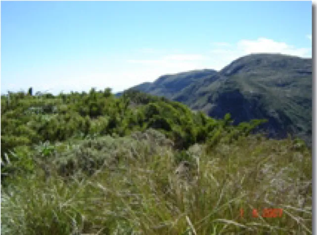 Fig. 10. Paisagem típica da ocorrência de Neossolos  Litólicos associados os afloramentos rochosos