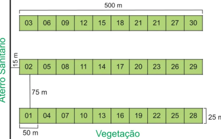 FIGURA 1:  Esquema de distribuição das parcelas e subparcelas  (1 a 30) de amostragem dos dados próximos aos  depósitos de resíduos domiciliares e áreas controles  (Adaptado de Carter, 1993 e Marguran, 1988).