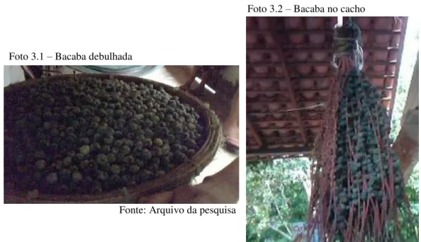 Foto 3.1 – Bacaba debulhada 