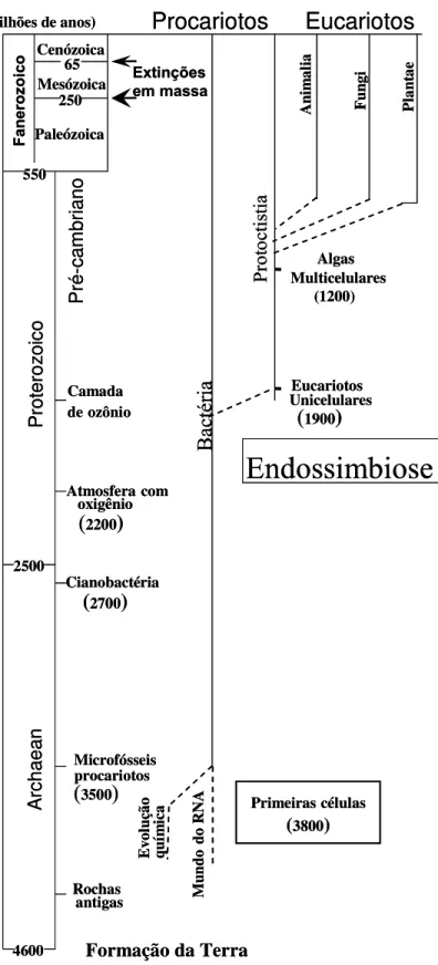 FIGURA I.1. Escala cronoestratográfica da origem da Terra. Datas prováveis dos  principais eventos na história do surgimento da Vida no planeta (adaptado de  KUTSCHERA &amp; NIKLAS, 2004)
