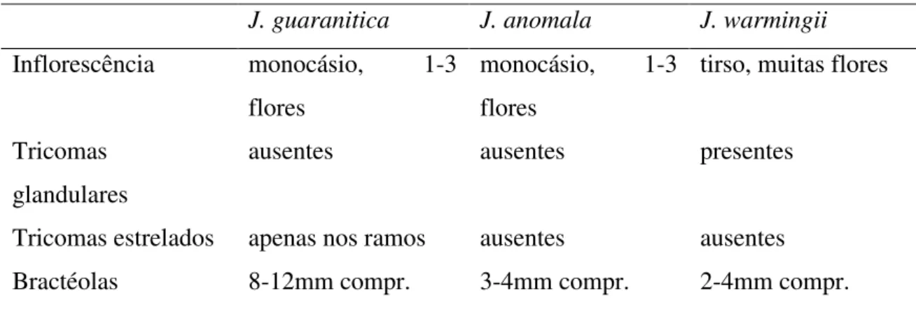 Table  1:  Caracteres  distintivos  entre  Jacquemontia  guaranitica  e  espécies  morfologicamente próximas