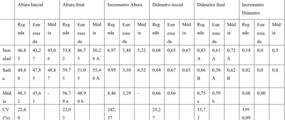 Tabela 1: Altura inicial (cm), altura final(cm), incremento de altura(cm), diâmetro inicial(cm), diâmetro final(cm) e  incremento de diâmetro(cm) de mudas de seringueira, Universidade Federal de Uberlândia, 2017