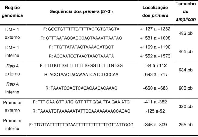 Tabela  1.  Identificação  da  região  genômica,  sequências  dos  primers,  localização  dos  primers  e  tamanho do fragmento amplificado