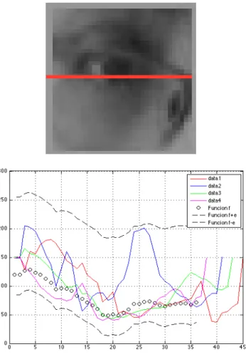 Figure 2.3: Intensity pixel pattern in eye image on middle row of pixels and the graph of intensity of many eye samples.