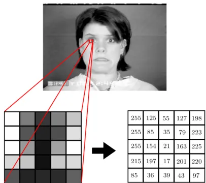 Figure 2.12: Eye information is not inside all the image only in a part of it. This is shown taking gray-scale image of CK+ database as a sample