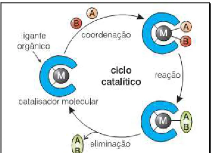 Figura 2.  Princípio geral de um ciclo catalítico. 3 