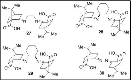 Figura 5.  Ligantes quirais de iminas, obtidos a partir de cânfora. 18