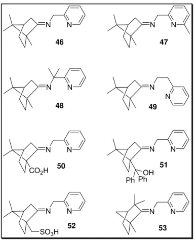 Figura 6.  Ligantes iminopiridinas. 21 