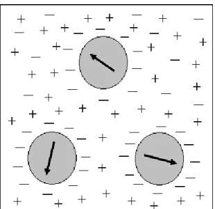 Figura  2.2:  Representação  de  um  fluido  magnético  iônico:  as  partículas  não  se  aglomeram  devido  à  repulsão eletrostática entre elas