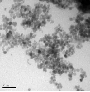 Figura  3.3:  Micrografia  das  nanopartículas  de  maghemita  ( γ − 2 3 )  amostra  de  FMPAB01  obtida  por  Microscopia eletrônica de transmissão.