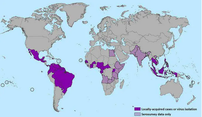 Figura 2: Distribuição do Zika vírus no mundo, 2016 