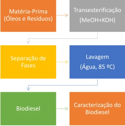 Figura 9  –  Processo de produção de biodiesel: Transesterificação, separação de  fases e lavagem do biodiesel