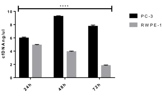 Figura 1: Quantificação de cfDNA liberado pelas linhagens celulares PC-3 e RWPE-1, respectivamente
