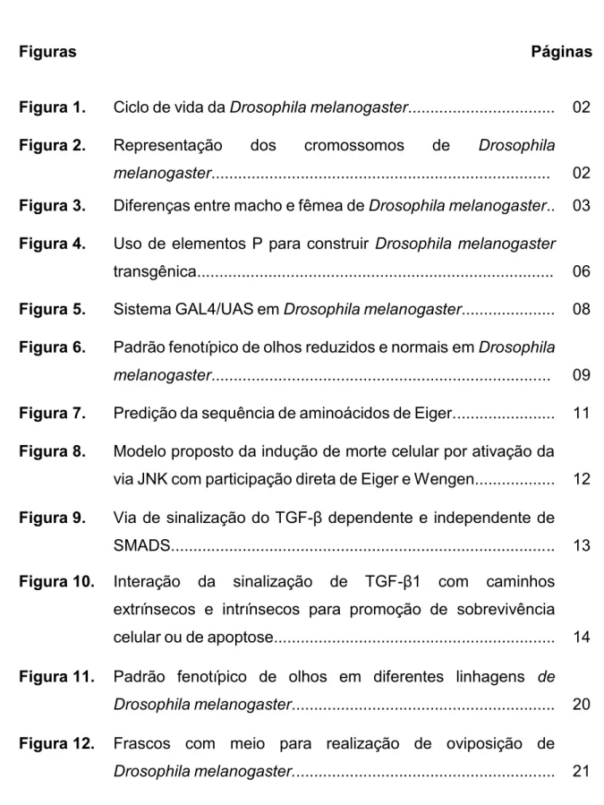 Figura 1.  Ciclo de vida da  Drosophila melanogaster.................................  02  Figura 2