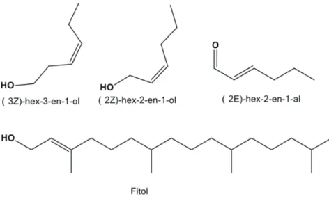 Figura 8 – Estrutura dos compostos majoritários do óleo essencial das folhas da B.oxyclada.