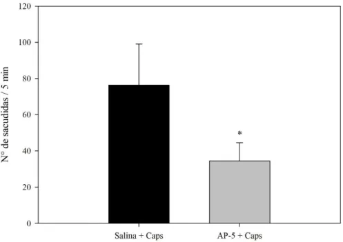 Figura  6.  Teste  de  nocicepção  induzida  por  capsaicina.    Salina  (5  μl)  ou  AP-5  (9  μg  em  5  μl)  foram  administrados por via intraganglionar (L5 ipsilateral) 30 minutos antes da injeção intraplantar de capsaicina (10  μg/50μl)