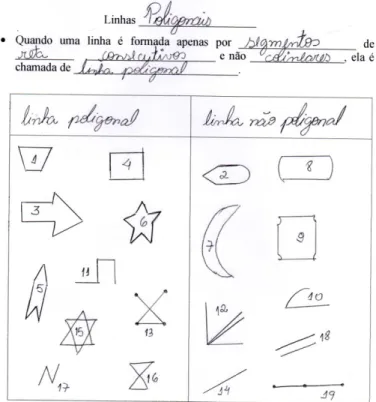 Figura 04: Apêndice A – Linhas poligonais e suas classificações preenchida por aluno 