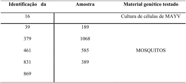 Tabela 4: Identificação das amostras extraídas de carrapatos. 