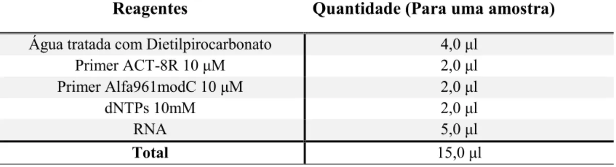 Tabela 6: Reagentes para a transcrição reversa para actina de mosquito. 