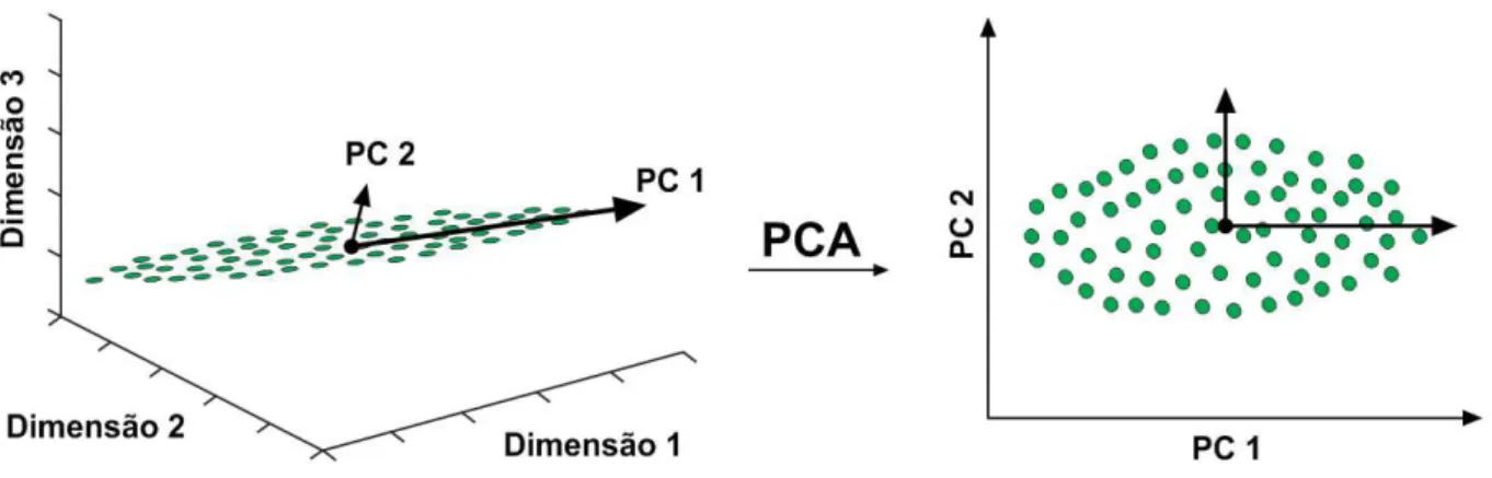 Figura 9: Transformação de um conjunto de dados de três para duas dimensões, formado pelas duas  componentes principais de maior variância