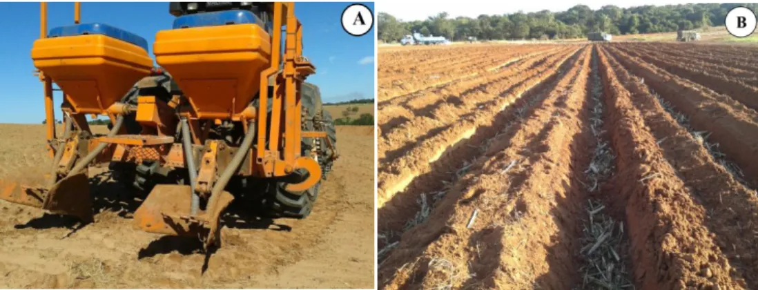 FIGURA  5.  Sulcador  utilizado  para  abertura  de  sulcos  (A);  sulcos  para  plantio  das  mudas de cana-de-açúcar (B)