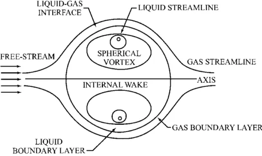 Figure 1.1: Evaporating droplet with relative gas-droplet motion and internal circulation (SIRIGNANO, 1983).