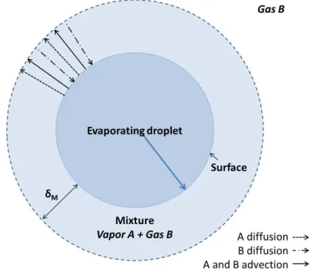 Figure 2.4: Schematic representation of thermal energy and mass transfers in the evaporation of a single droplet.