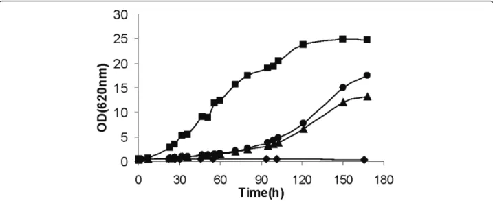 Figure 4 Aerobic growth of S. cerevisiae recombinant strains carrying p426TEF-Xym1 (filled triangle), p426TEF-Xym2 (filled circle), p426TEF-XiPiromyces (filled square) or the empty plasmid p426TEF (filled diamond)