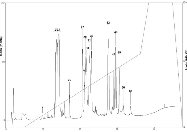 Figura 5. Cromatograma da peçonha bruta de   sp.; sistema RP@HPLC coluna analítica  C18 Vydac 218TP54 (0,46 x 250 mm)