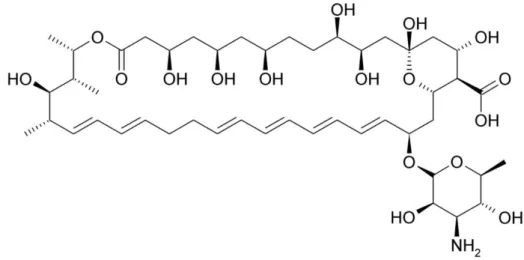 Figura 8: Estrutura química da nistatina. 