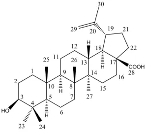 Figura 19. Estrutura química do Ácido betulínico (SG5. 7-9.10). 