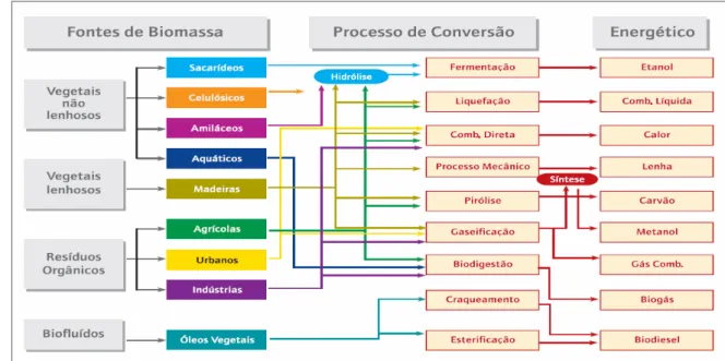 Figura 1.1. - Processos de conversão energética da biomassa. Fonte: Atlas de energia  elétrica do Brasil