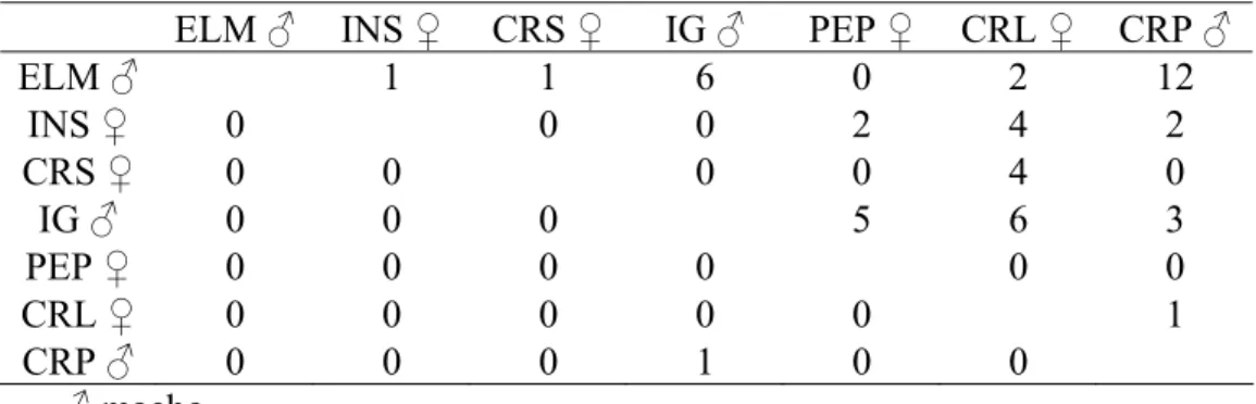Tabela 7. Matriz das relações de dominância do grupo B. 