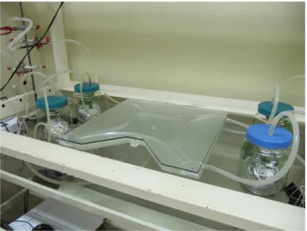 Fig. 2. Sistema de bioensaio com o olfatômetro  de quatro  escolhas  do  Laboratório de  Semioquímicos  –  Embrapa  Recursos  Genéticos  e  Biotecnologia  (Cenargen),  Brasília,  DF