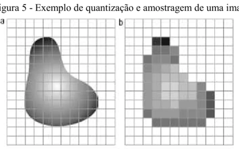 Figura 5 - Exemplo de quantização e amostragem de uma imagem 