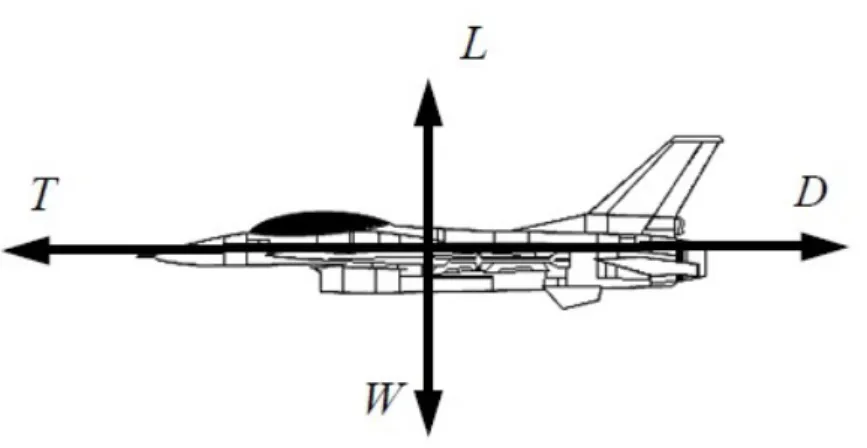 Figura 2.7: Esquema simpliﬁcado do equilíbrio de forças no voo de cruzeiro. Modiﬁcado de (VENSON, 2013).