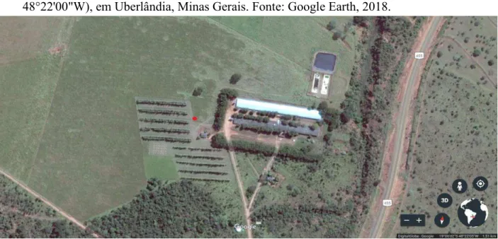 FIGURA 1. Localização da área experimental (●) na Fazenda Bonsucesso (19°05'17&#34;S  48°22'00&#34;W), em Uberlândia, Minas Gerais