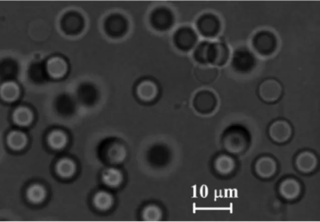 FIG. 9. Image, obtained by using an inverted microscope, of the cured PDMS particles (corresponding to the sample of Fig