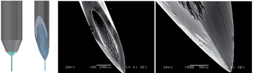 FIG. 1. (Left) Standard capillary and needle, and (right) SEM images of the needle tip (not chemically attacked) used in the technique proposed by Acero et al
