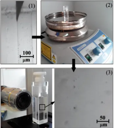 FIG. 4. Scheme of the experimental procedure to produce and analyse the PDMS liquid droplets and the subsequent solid particles: (1) production of PDMS liquid droplets by using our flow focusing technique, and measurement of the droplets size in liquid pha