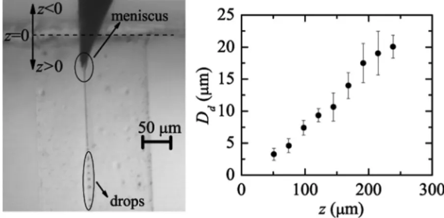 FIG. 5. Diameter D d of the produced droplets by focusing PDMS precursor with the mixture of glycerol and surfactant Brij L4 and its dependence on z position.