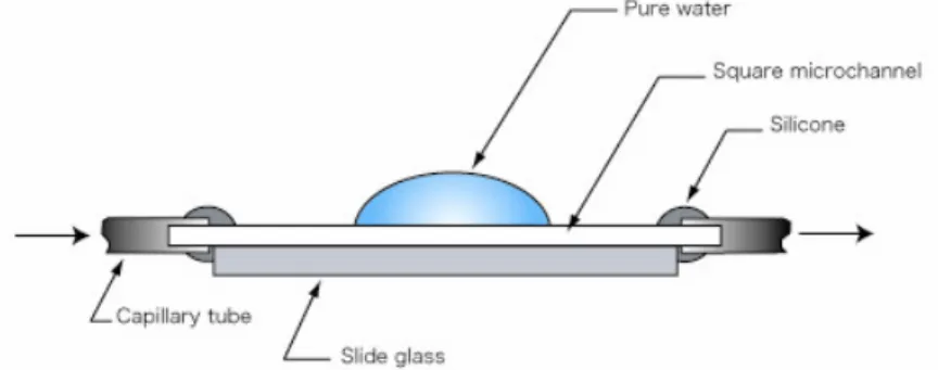 Figure 1. Diagram showing the components of the square microchannel device. 