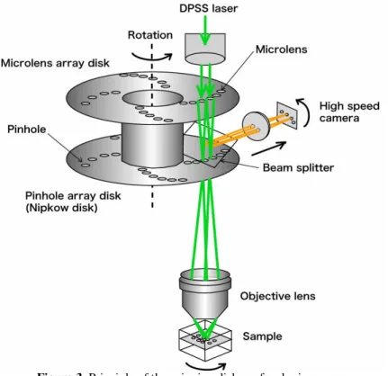 Figure 3. Principle of the spinning disk confocal microscope. 