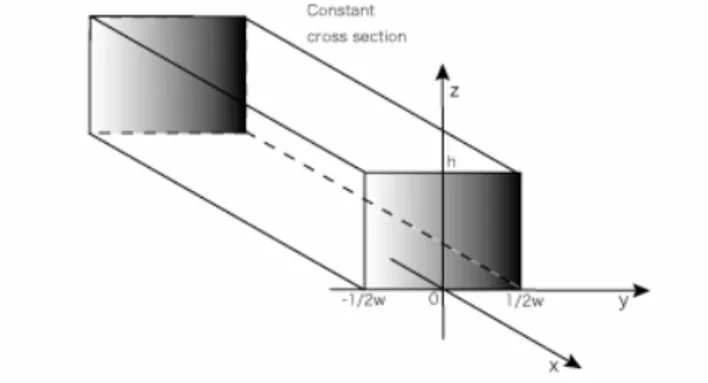 Figure 5. Main parameters of the rectangular microchannel. 