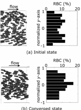 Figure  13.  Comparison  of  RBC  distribution  between  the  initial  state  (a)  and  the  converged state (b)