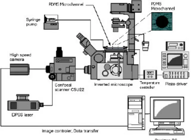 Figure 2. Experimental set-up.