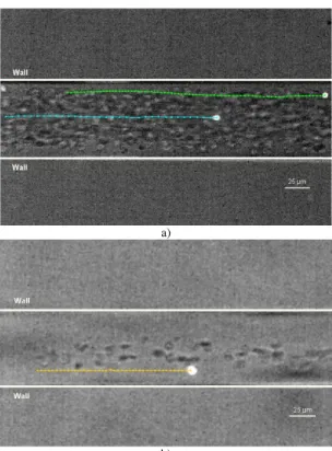 Figure  6a  shows  the  effect  of  the  radial  position  on  the  motion  of  la- la-beled  RBCs  flowing  through  a  75 µm  PDMS  capillary,  for  a feed  Hct  of  about 13%