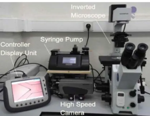 Figure 2. Experimental Set-up. 
