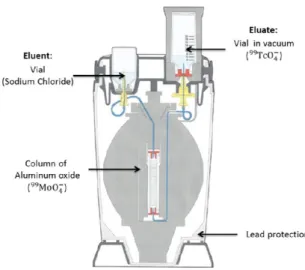 Fig.  1.  Execution  of  the  first  phase:  preparation  of  the  elution  of  the  technetium ( 99m Tc) from the radioactive molybdenum ( 99 Mo)