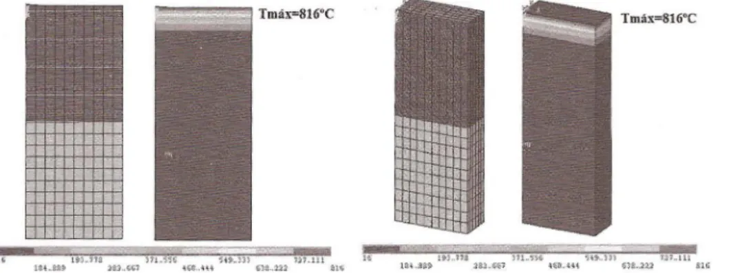 Figure 4:  Plane and solid numerical method. Temperatures field  at 1 h. 